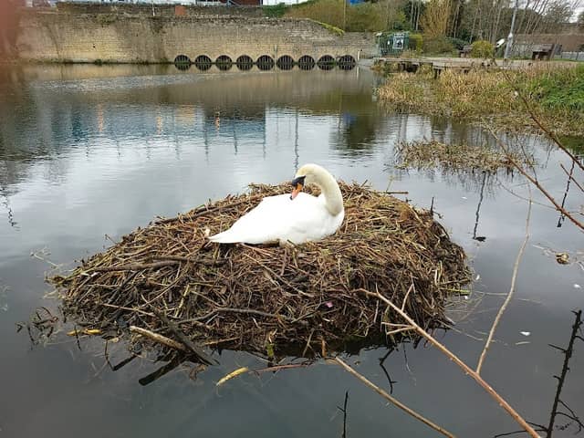 Field Mill Pond - Image 1
