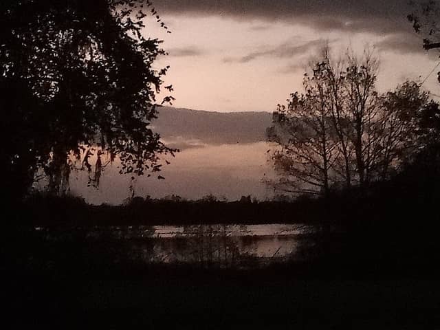 Birdwatchers Trail - Image 1