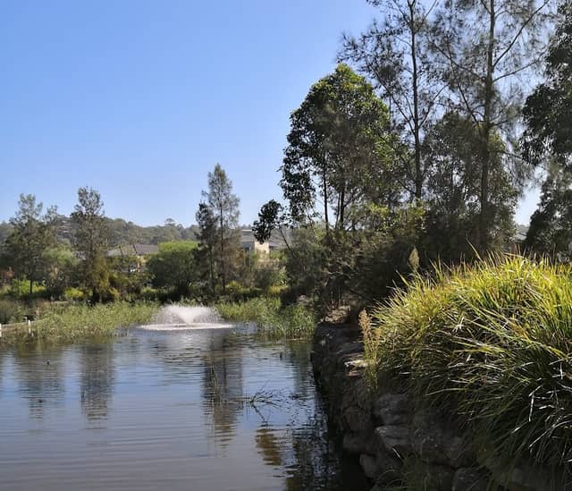 Warriewood Wetlands - Image 1