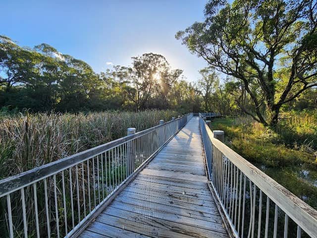 Warriewood Wetlands - Image 2