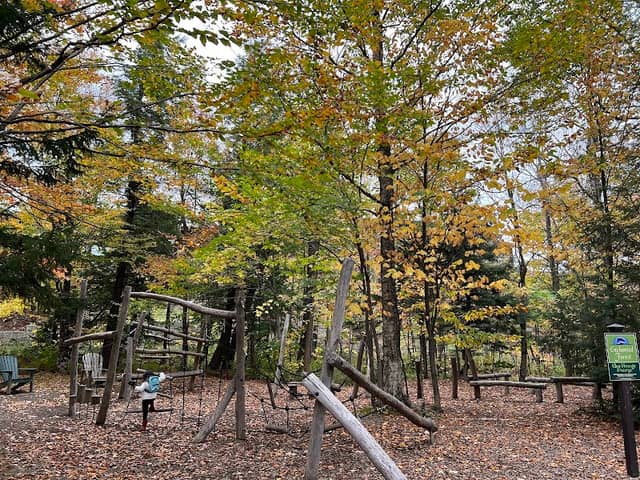 Enchanted Forest Playground - Image 1