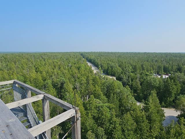Visitor Centre Lookout Tower - Image 2