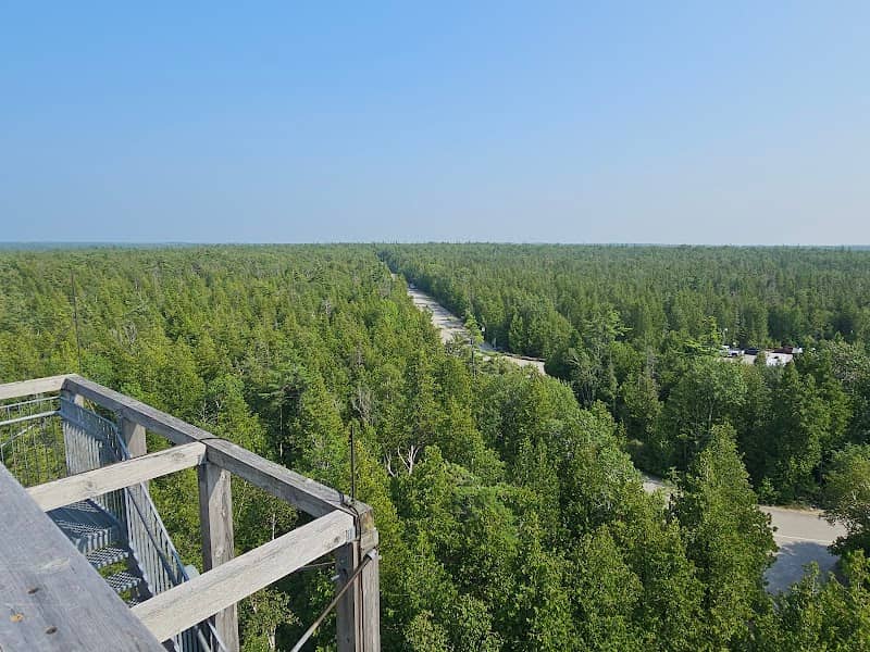 Visitor Centre Lookout Tower - Image 2