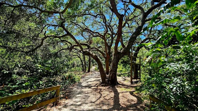 Folly Farm Nature Preserve - Image 3
