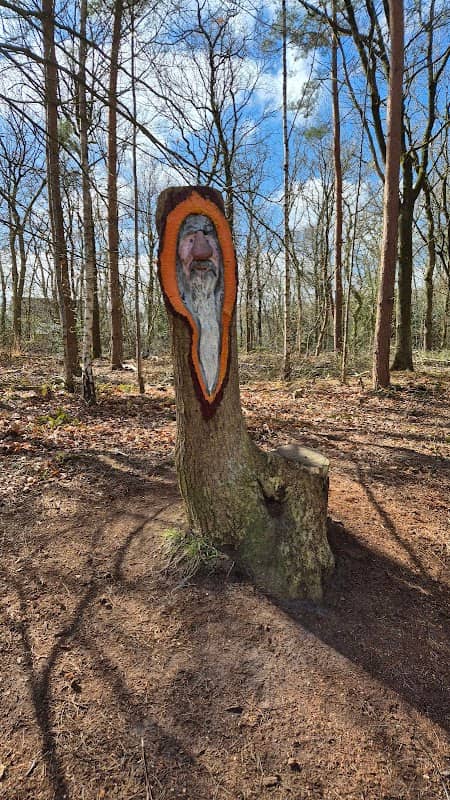 Sint Nicolaasga - Image 1