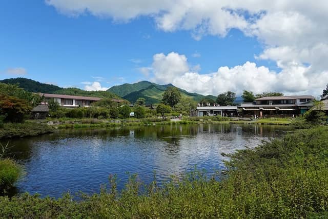 Carp Pond - Image 2
