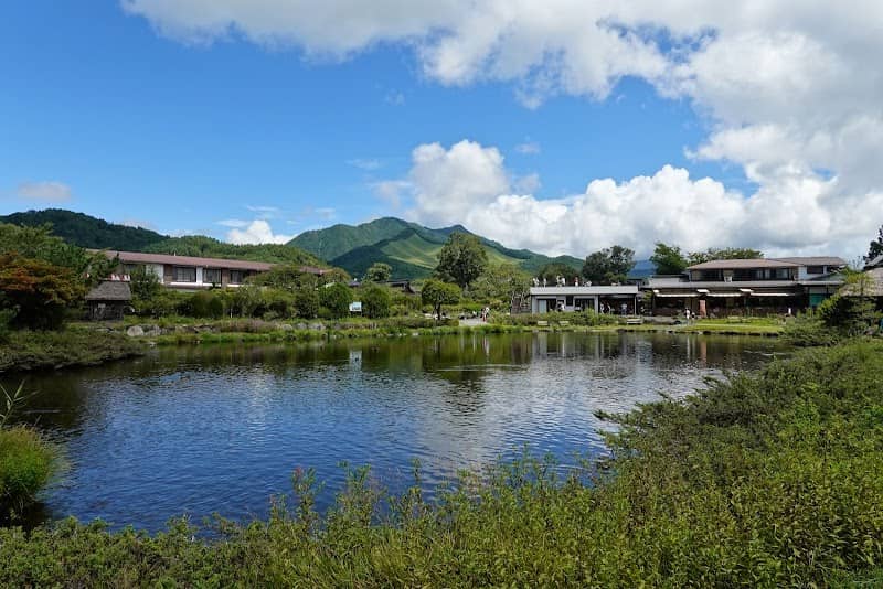 Carp Pond - Image 2