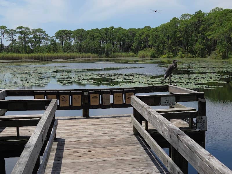Audubon Bird Sanctuary - Image 2