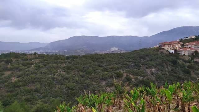 Kargıcak plajı - Image 1