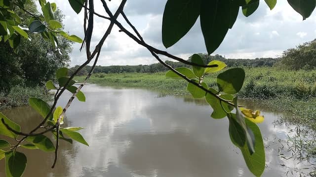 Kaluela - Image 2