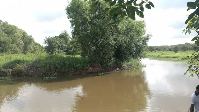 Kaluela - Image 1