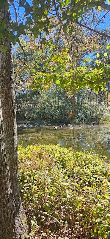 Carver Park Lake - Image 1