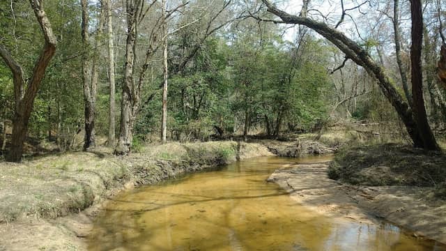 Severn Run Natural Environment Area - Image 2