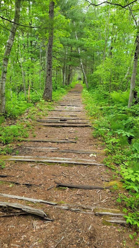 Bog Meadow Brook Trail - Image 2