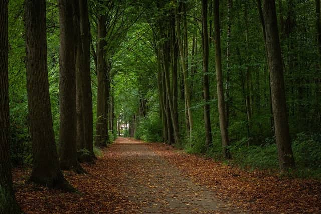 Julianen Park - Image 2