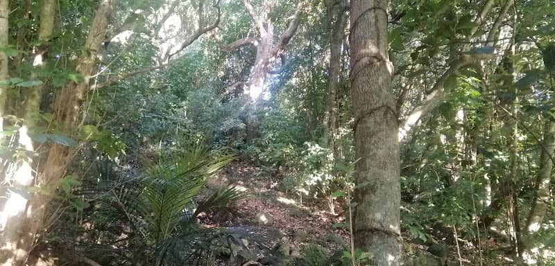 Granfield Place Reserve - Image 1