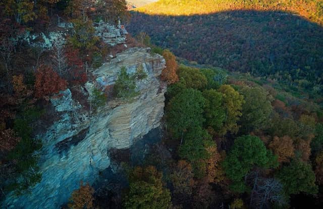 Richland Creek Wilderness - Image 3