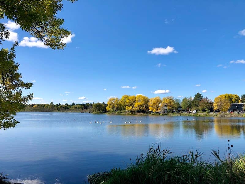 Koll Center Wetlands Park - Image 1