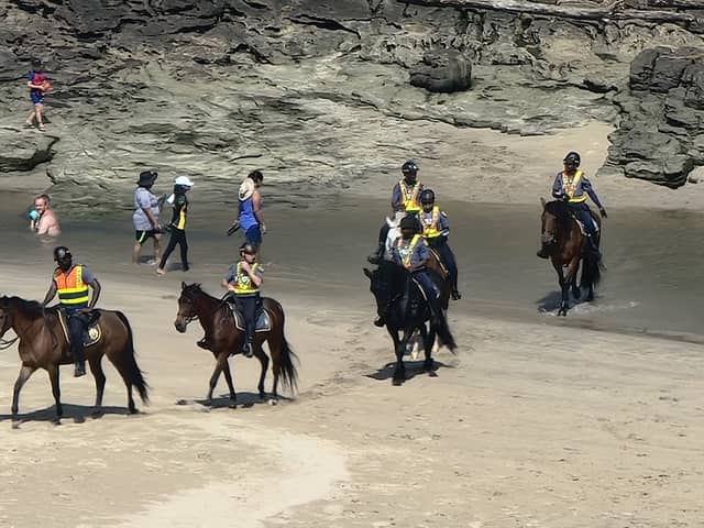 Uvongo scenery - Image 2