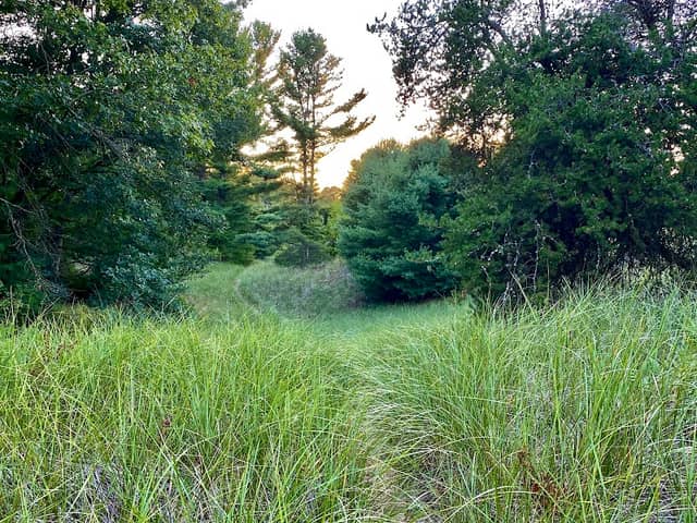 Ferrysburg Nature Preserve - Image 1