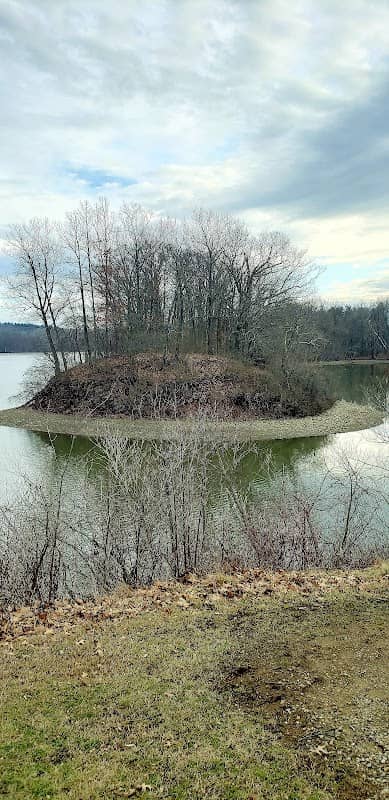 Charles Mill Lake Park Peninsula Point 2199- - Image 1