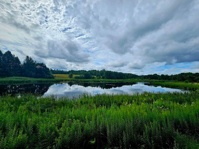 Paradissjön - Image 1