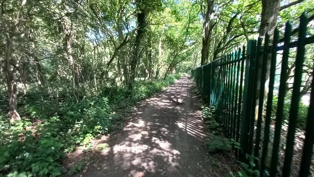 Jubilee Woods - Image 1
