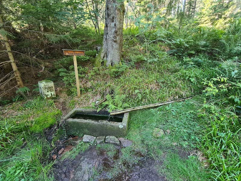 Murgquelle - Image 1