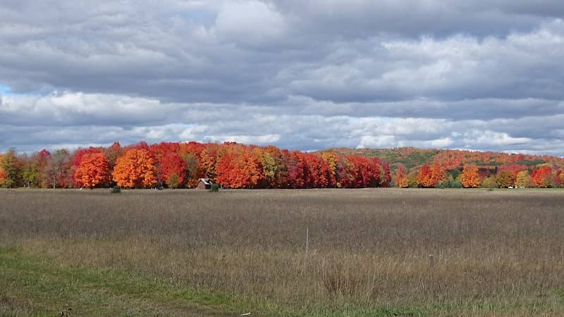 Boyne Mountain Viewing Area - Image 1