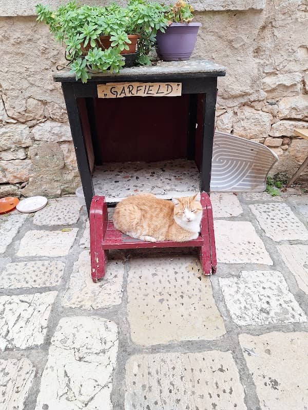 Garfield - Image 1