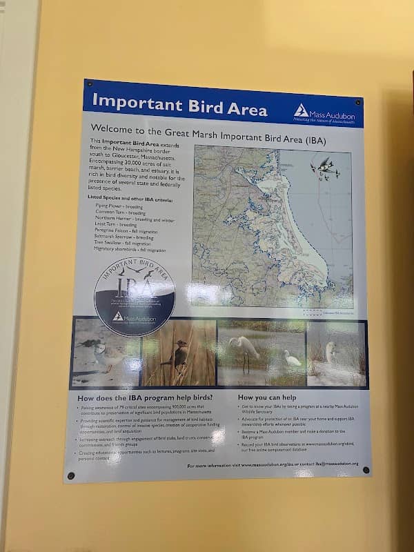 Mass Audubon Joppa Flats Education Center - Image 3