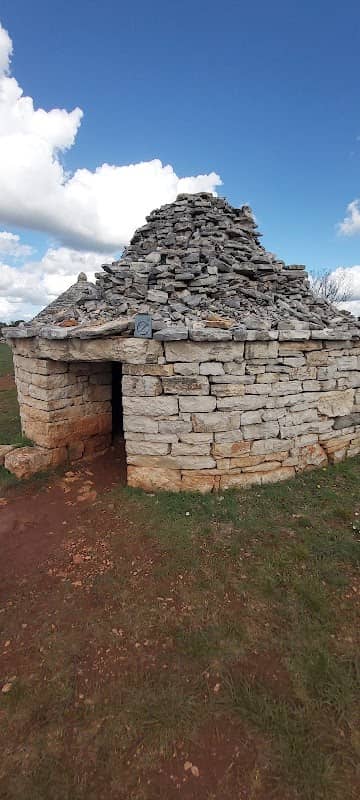 1 Kazuni - Image 1