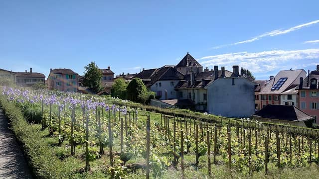 Les Ruelles à Nyon - Image 3