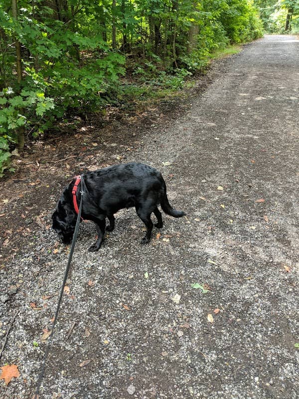 Maize Memorial Dog Park, llc - Image 2