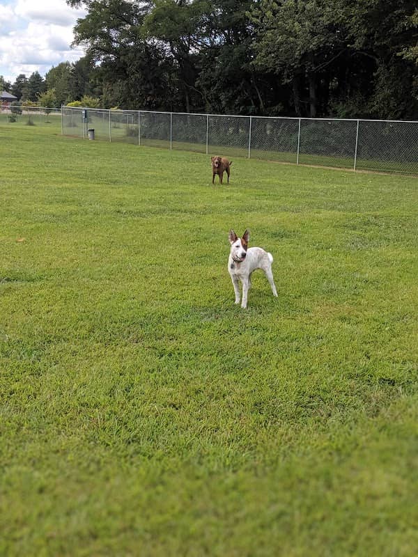Maize Memorial Dog Park, llc - Image 1