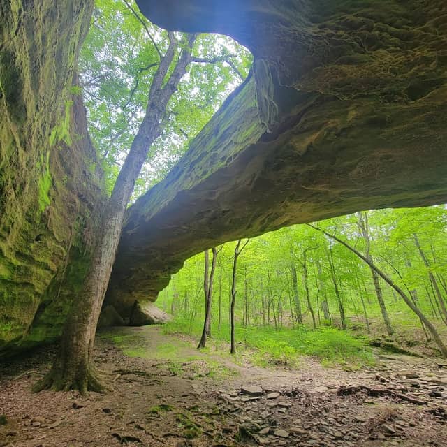 Mantle Rock Preserve - Image 2