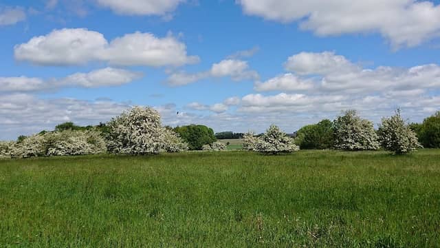 Nordre fælled - Image 1
