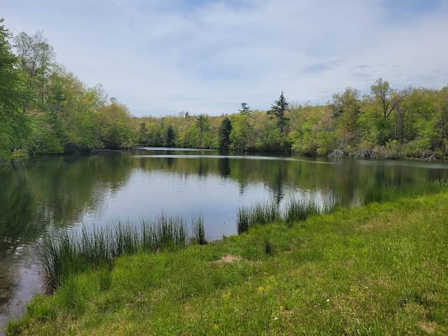 Trail Head for Lake Alice Trail & Dam - Image 1