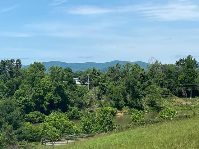 Ivy Creek Park - Image 2