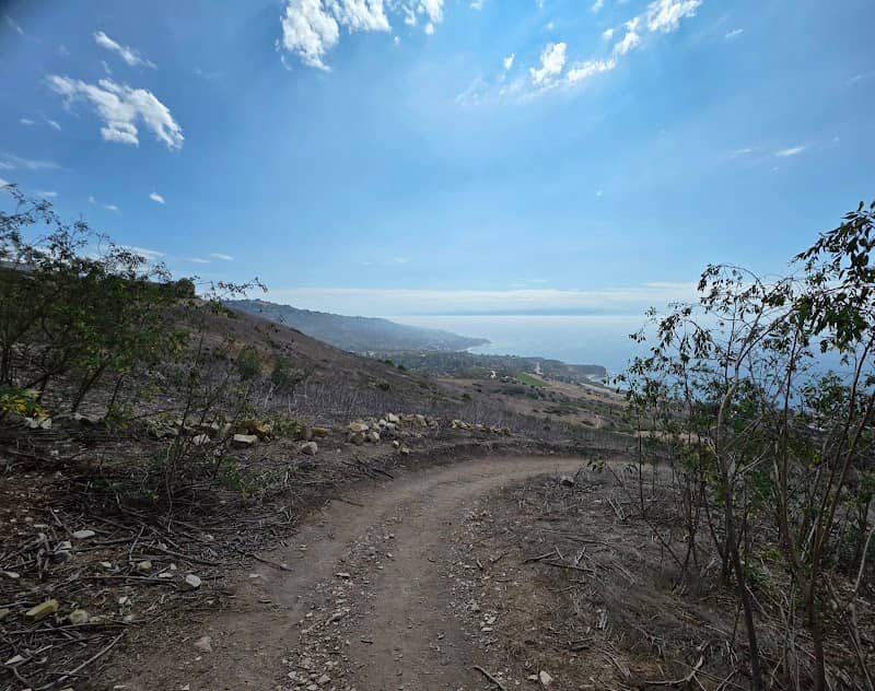 Filiorum Reserve - Image 2