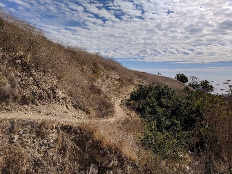 Filiorum Reserve - Image 1