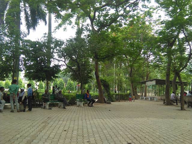 Company Garden - Image 1