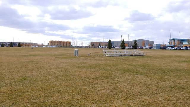 Morris T. Cherneskey Park Central - Image 1