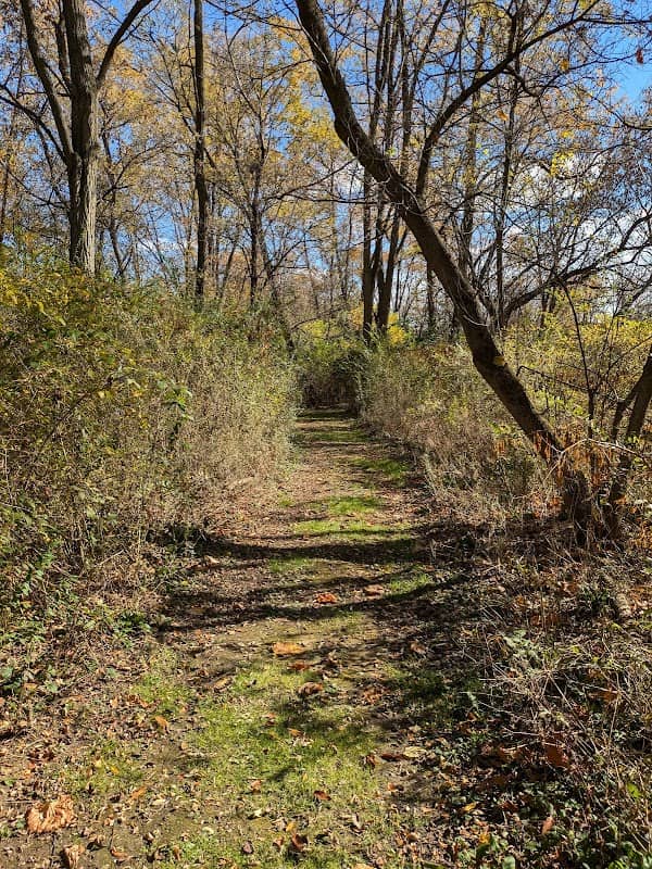 Songbird Sanctuary - Image 1