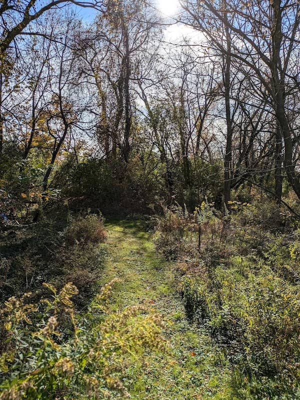 Songbird Sanctuary - Image 2