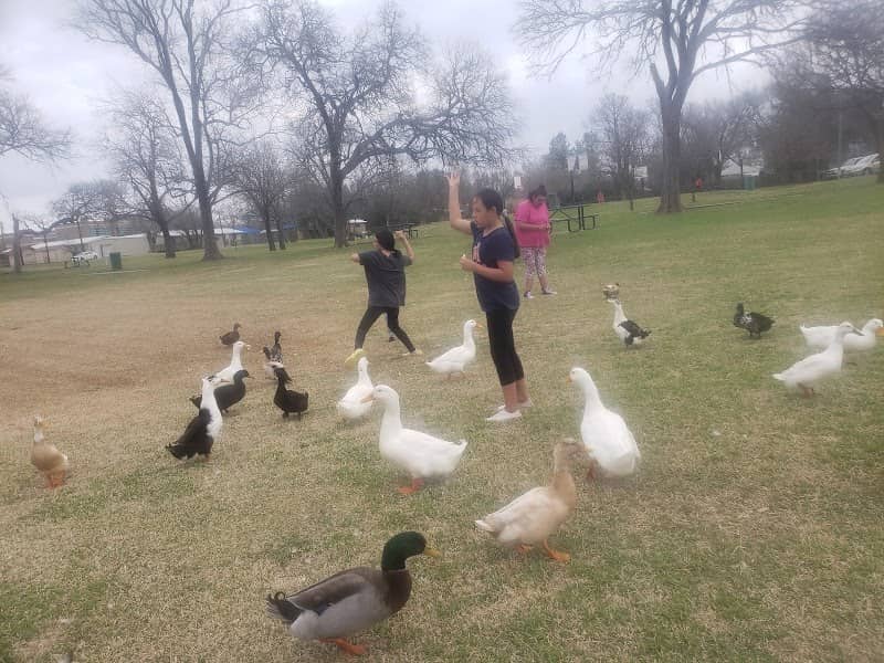 Morris Memorial Park - Image 2