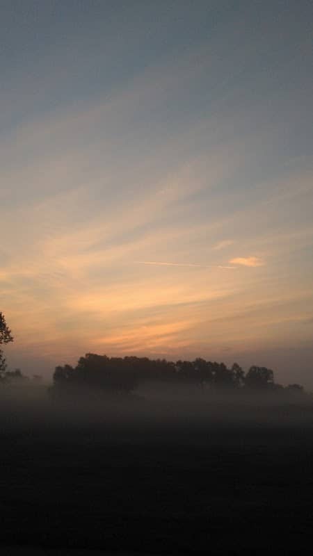 The Conservancy Trails - Image 2