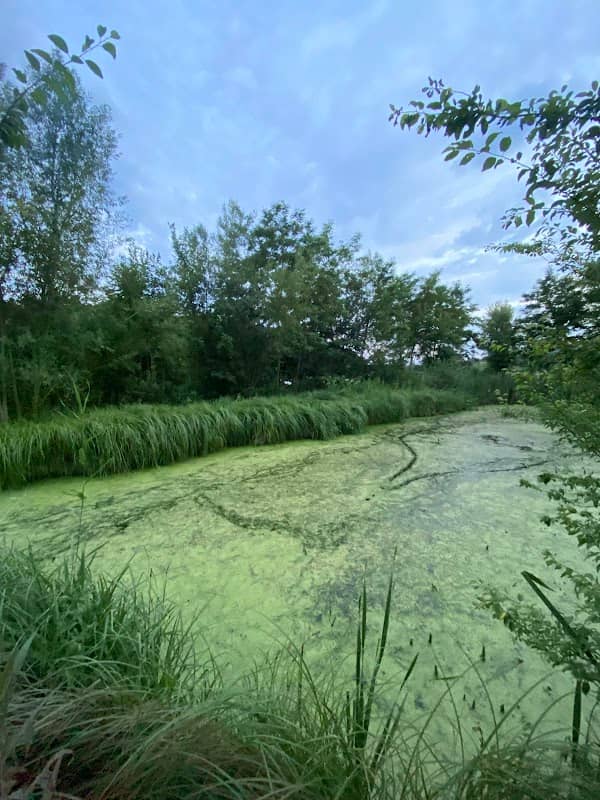 Khelʹmova Padʹ - Image 1