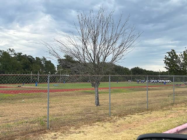 Lindale High School Multi Purpose Field - Image 1