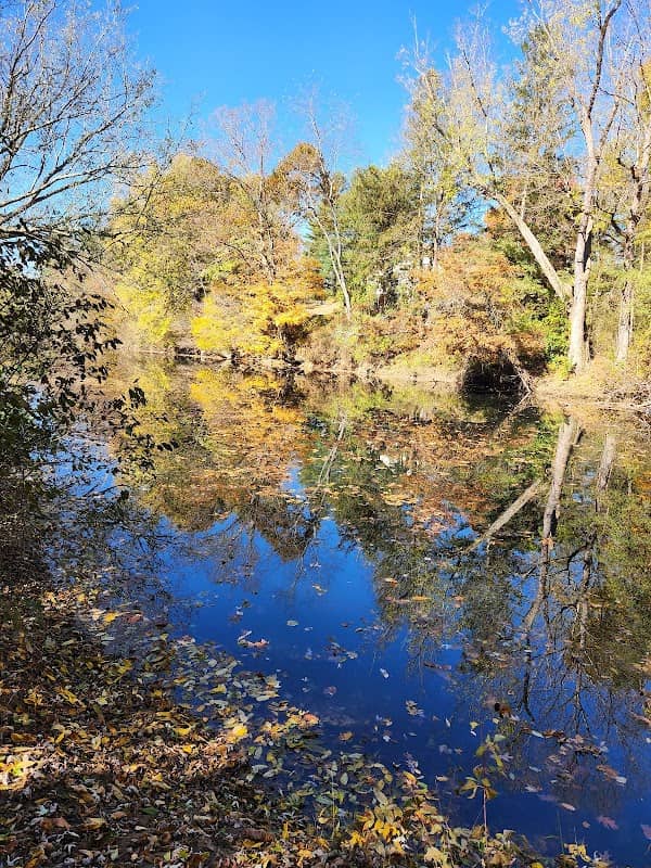Buckhannon Dog Park - Image 2